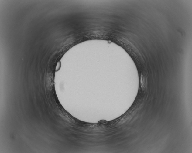 X0000111251107200907301321