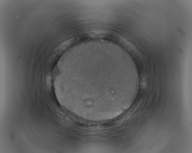 X0000111251108200907301321