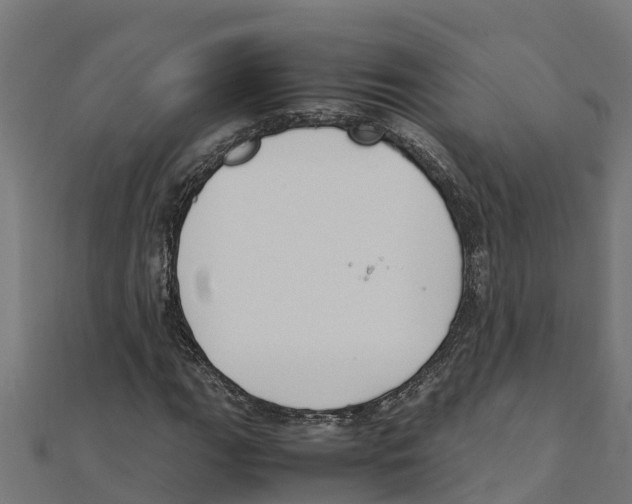 X0000111251111200907301321