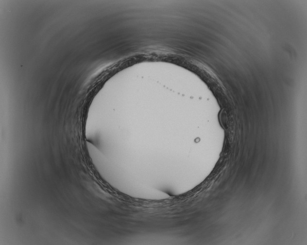 X0000111251112200907301321