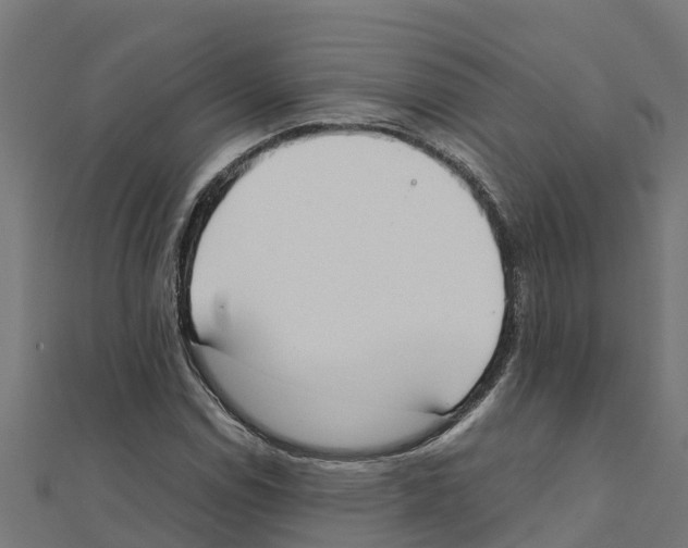 X0000111251114200907301321