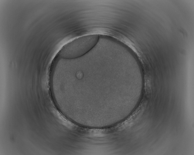 X0000111251116200907301321