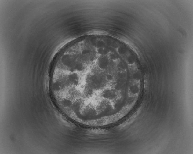 X0000111251117200907301321