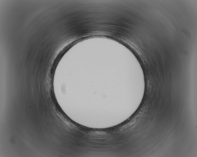 X0000111251119200907301321