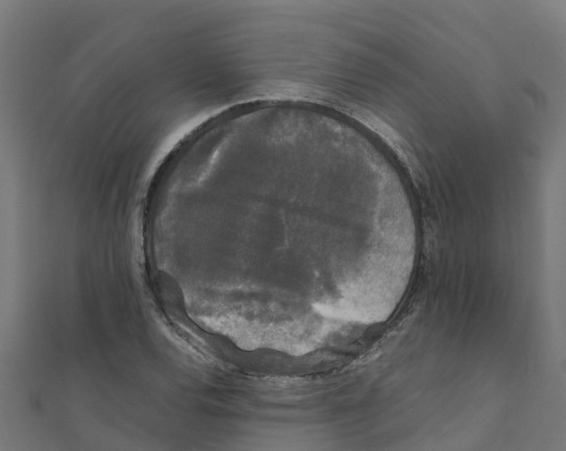 X0000111251120200907301321