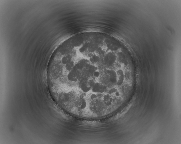 X0000111251121200907301321