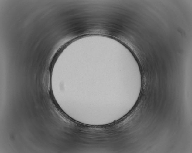 X0000111251123200907301321