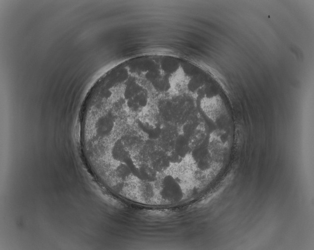 X0000111251125200907301321