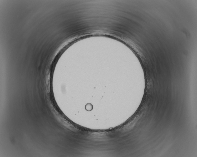 X0000111251126200907301321