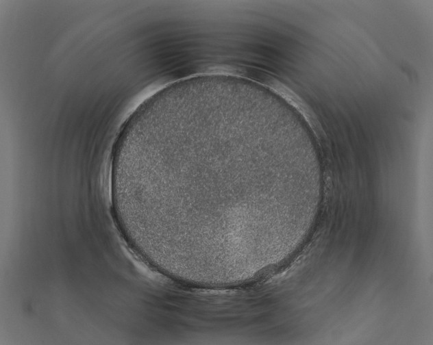 X0000111251127200907301321