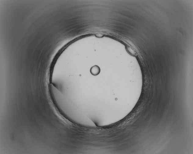 X0000111251128200907301321