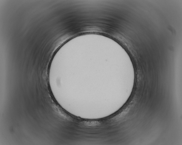 X0000111251129200907301321