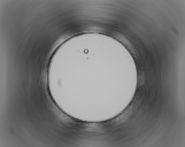 X0000111251130200907301321