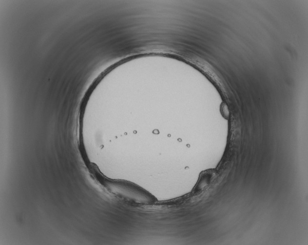 X0000111251132200907301321