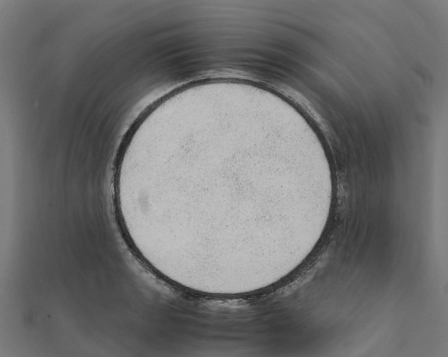 X0000111251133200907301321