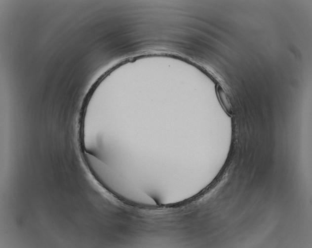 X0000111251134200907301321