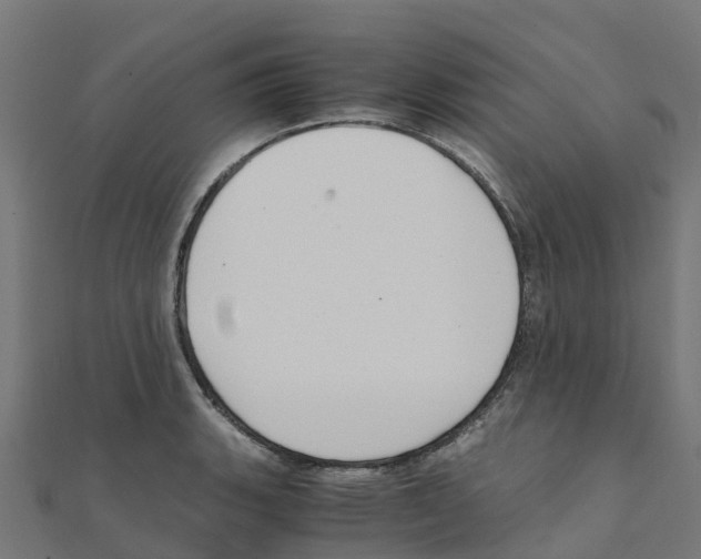 X0000111251135200907301321