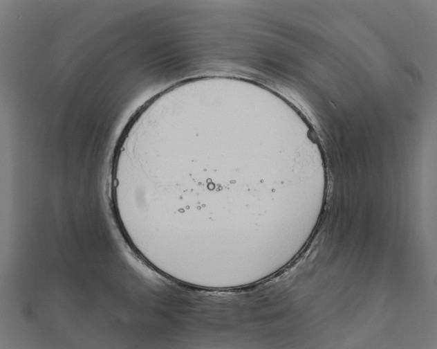 X0000111251136200907301321