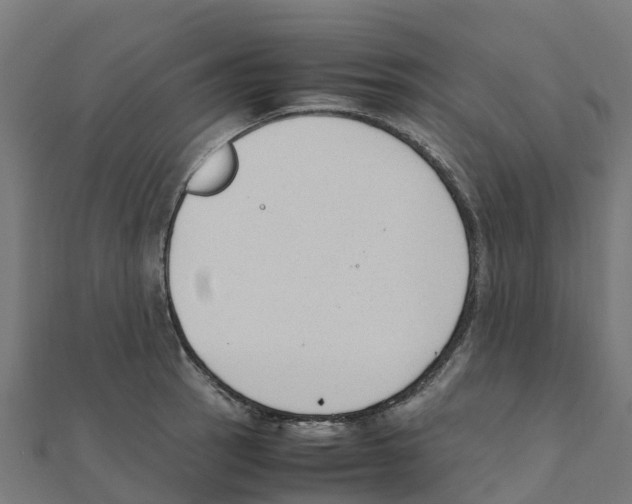 X0000111251137200907301321