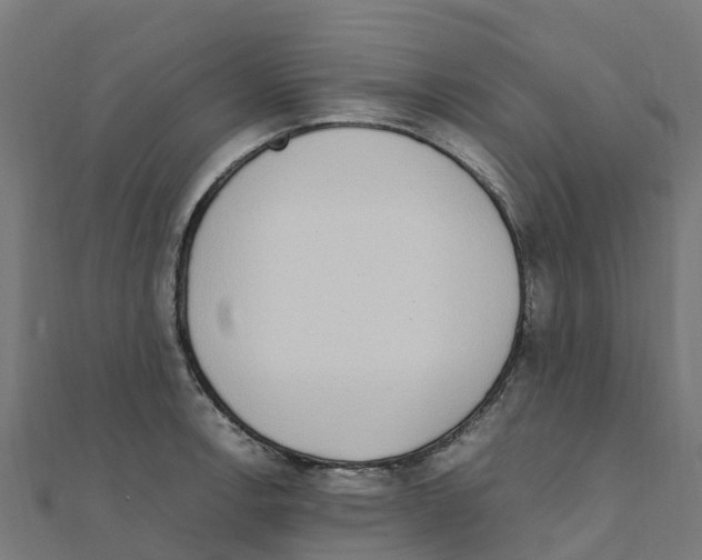 X0000111251138200907301321