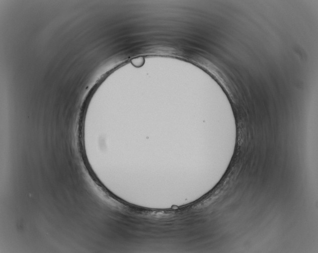 X0000111251139200907301321