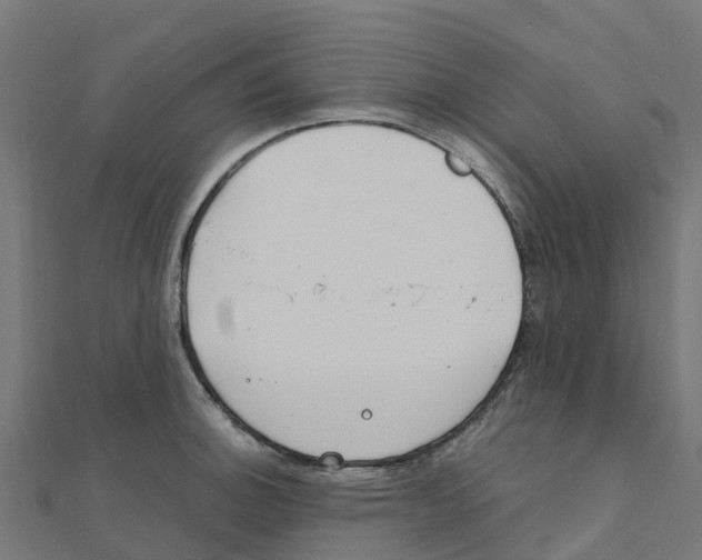 X0000111251140200907301321