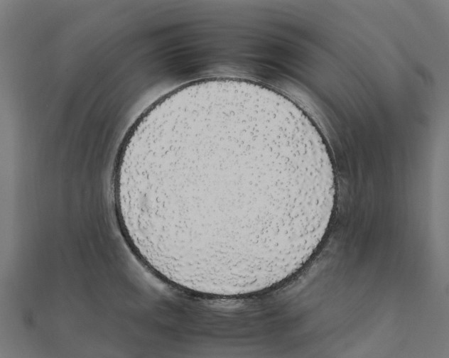 X0000111251141200907301321