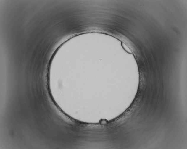 X0000111251142200907301321