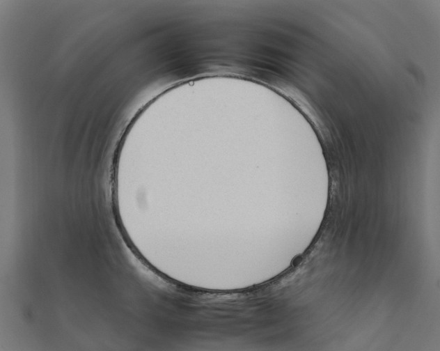 X0000111251143200907301322