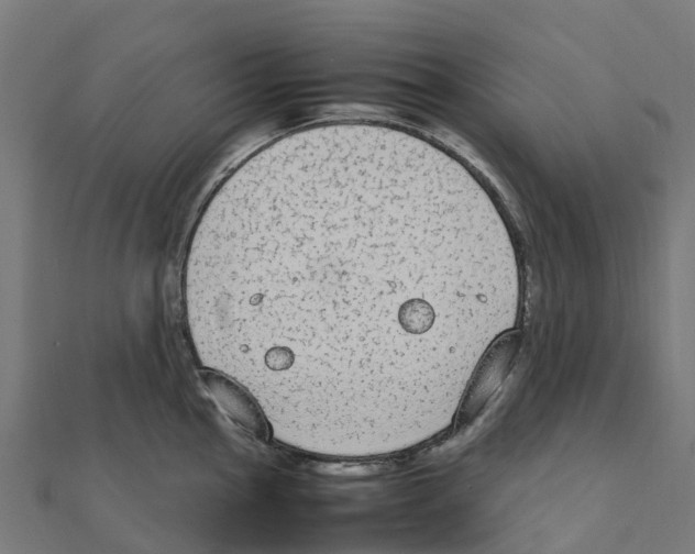 X0000111251145200907301322