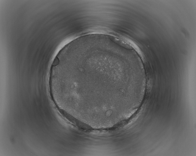 X0000111251146200907301322