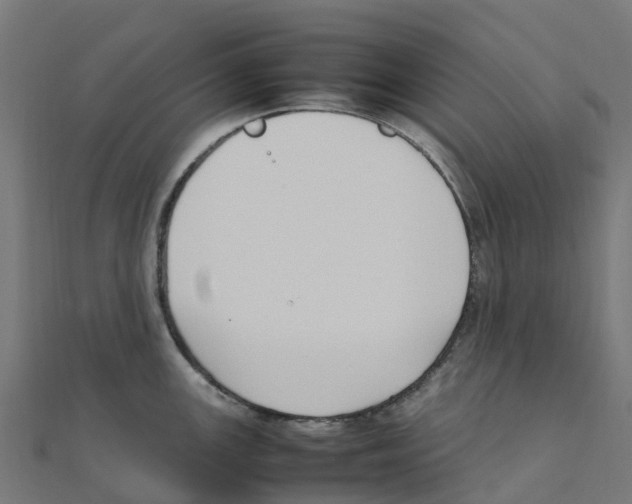 X0000111251147200907301322