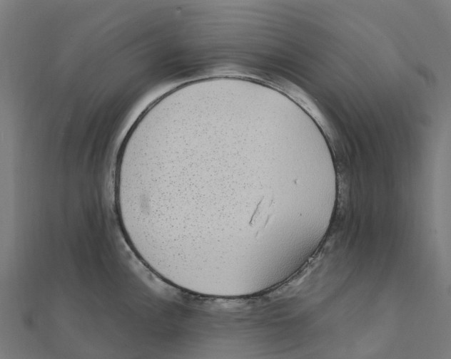 X0000111251148200907301322