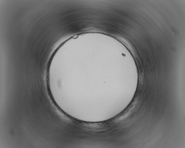 X0000111251149200907301322