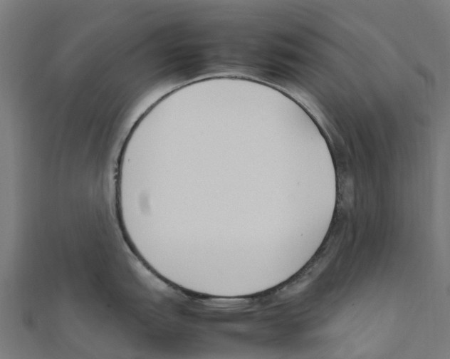 X0000111251151200907301322