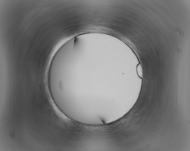 X0000111251152200907301322