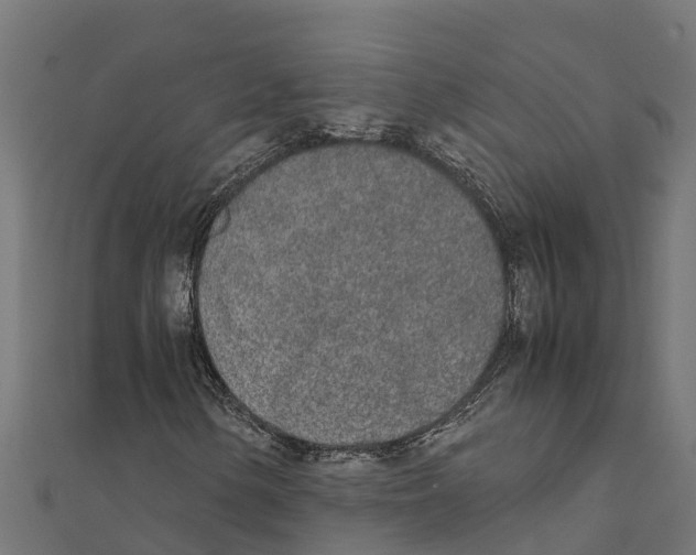 X0000111251154200907301321