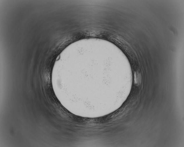 X0000111251155200907301321