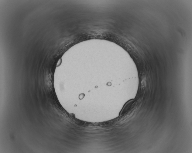 X0000111251156200907301321