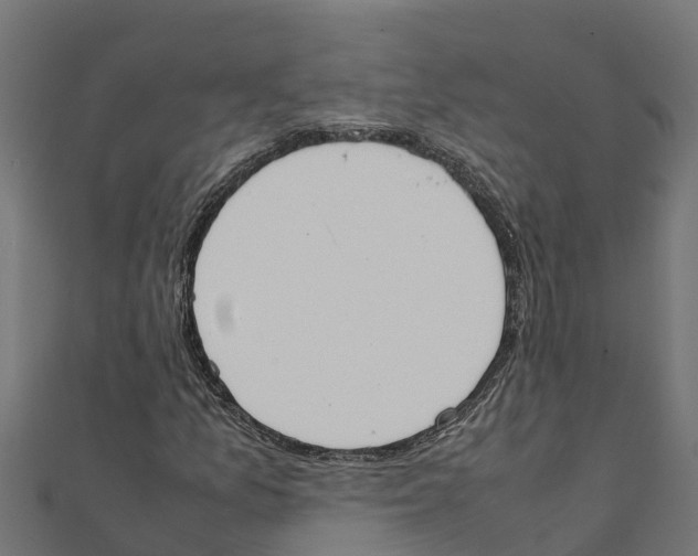 X0000111251157200907301321