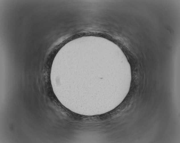 X0000111251159200907301321