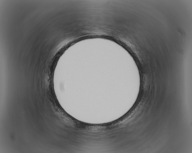 X0000111251163200907301321