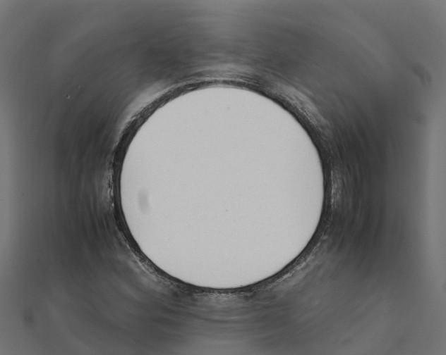 X0000111251164200907301321