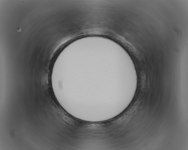 X0000111251166200907301321