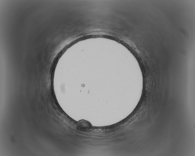 X0000111251167200907301321