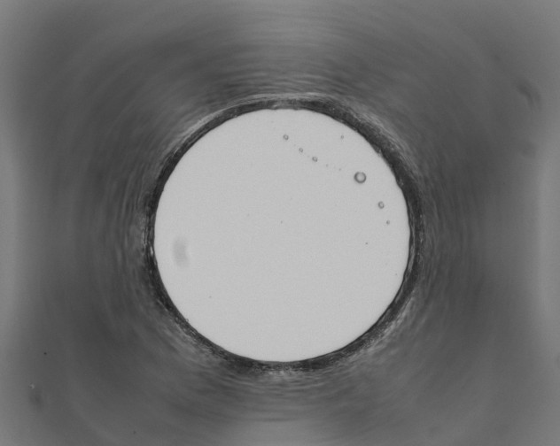 X0000111251169200907301321