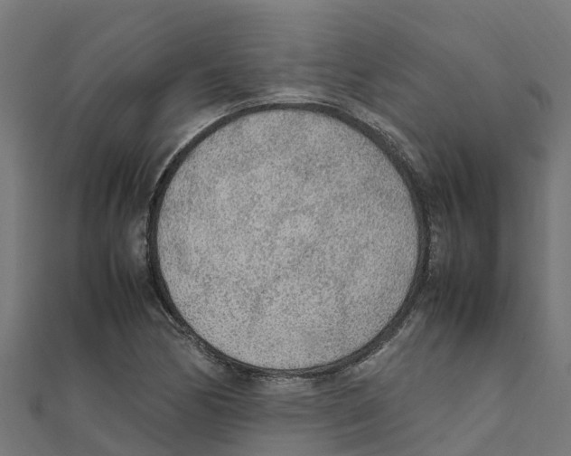 X0000111251170200907301321