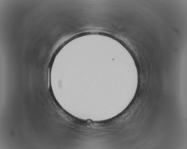 X0000111251175200907301321