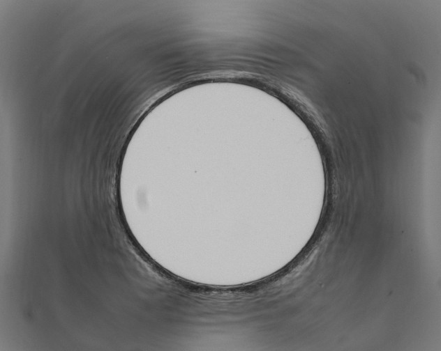 X0000111251177200907301321