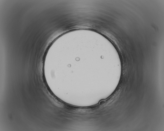 X0000111251179200907301320